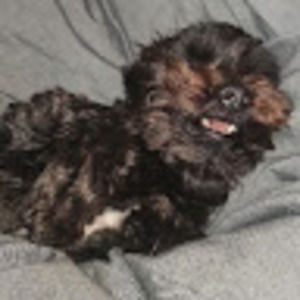 Meet your Posher, Freddy